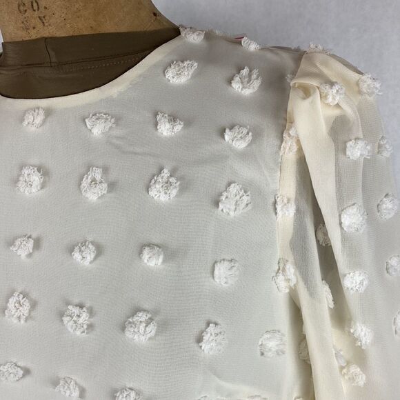 NEW Forever 21 Sheer Top Shirt Polka Dot Texture Small Puff 3/4 Sleeve Cropped - Picture 2 of 10
